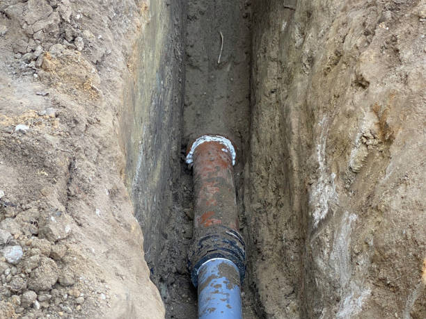Best Local water damage restoration  in Mccullom Lake, IL