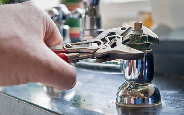 Best Professional water damage repair  in Mccullom Lake, IL