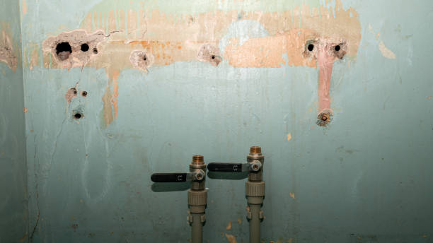 Best Basement water damage restoration  in Mccullom Lake, IL