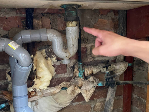 Best Flooded house restoration  in Mccullom Lake, IL