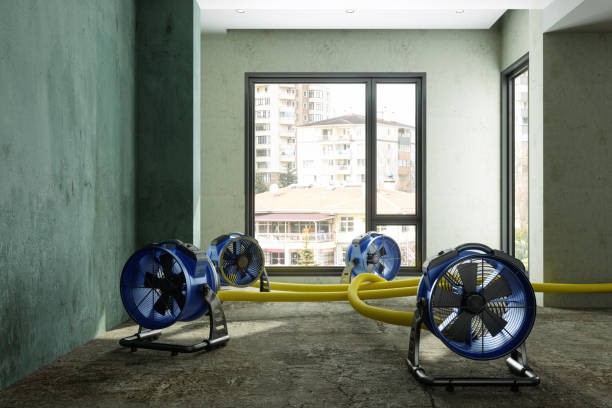 Best Residential water damage restoration  in Mccullom Lake, IL